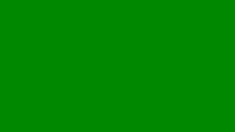 6307